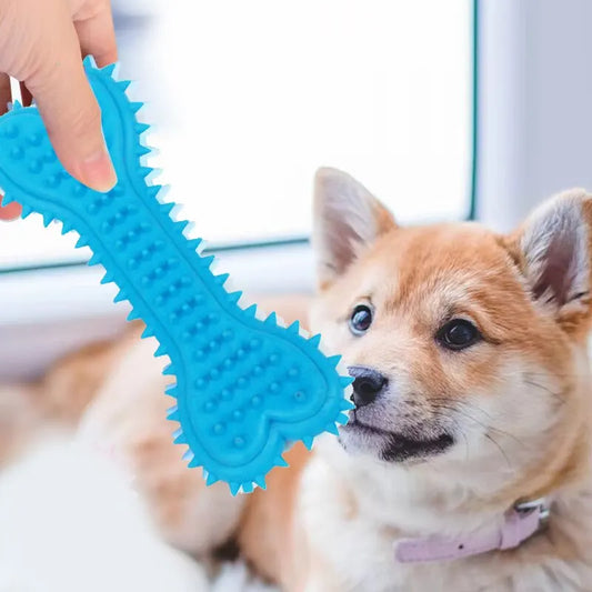 Jouet à mâcher souple et résistant pour chien – soin des dents & entraînement